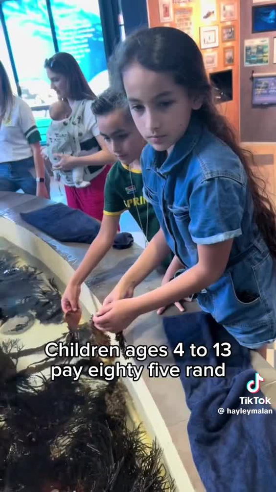 Aquarium