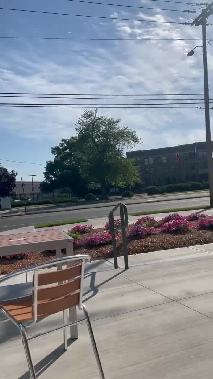 Rebel Dog Coffee Co.