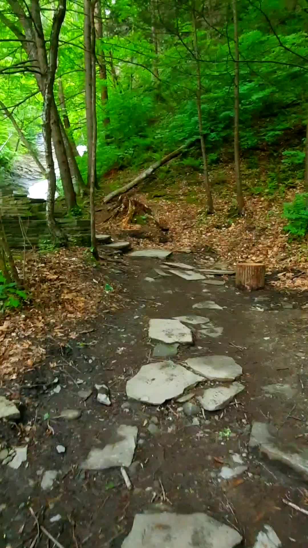 Buttermilk Falls State Park