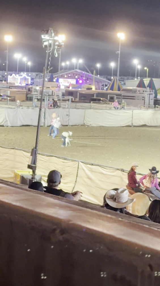 Arizona State Fair