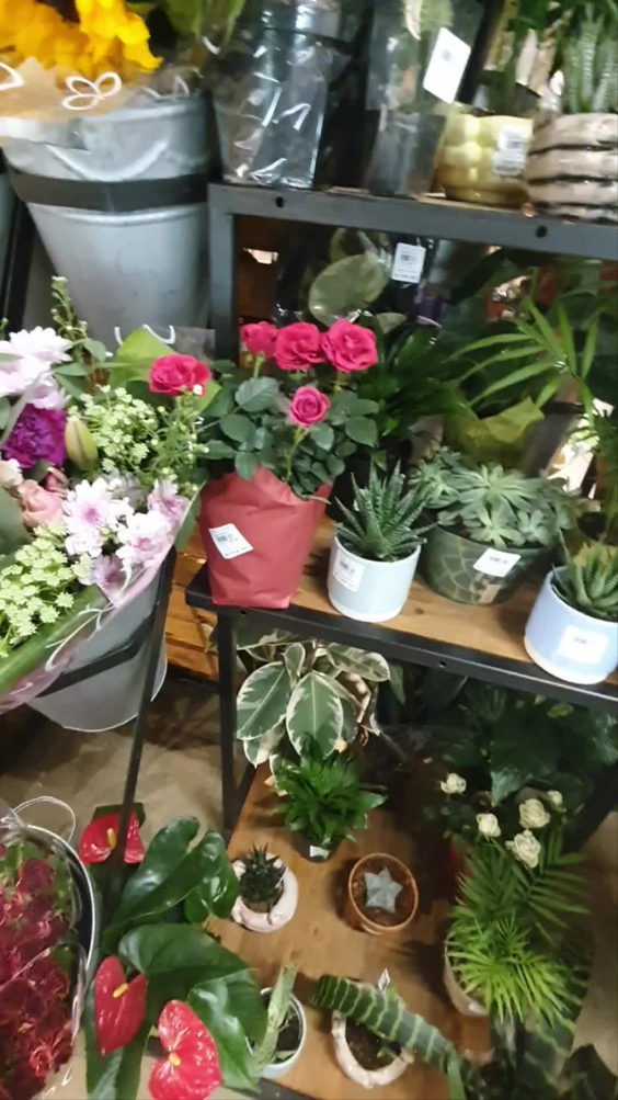 Food Lover's Market
