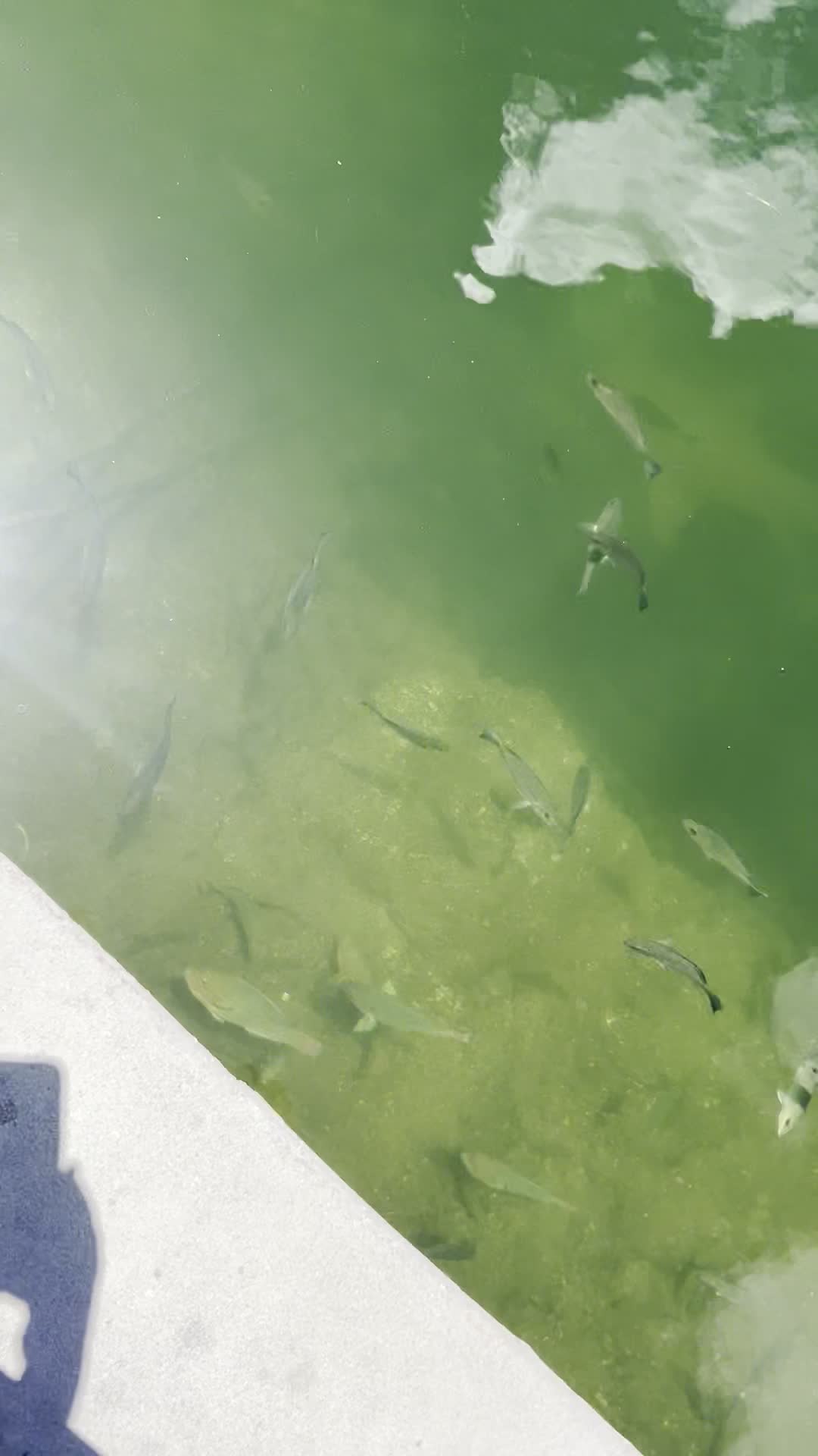 Keys Fisheries, Market & Marina