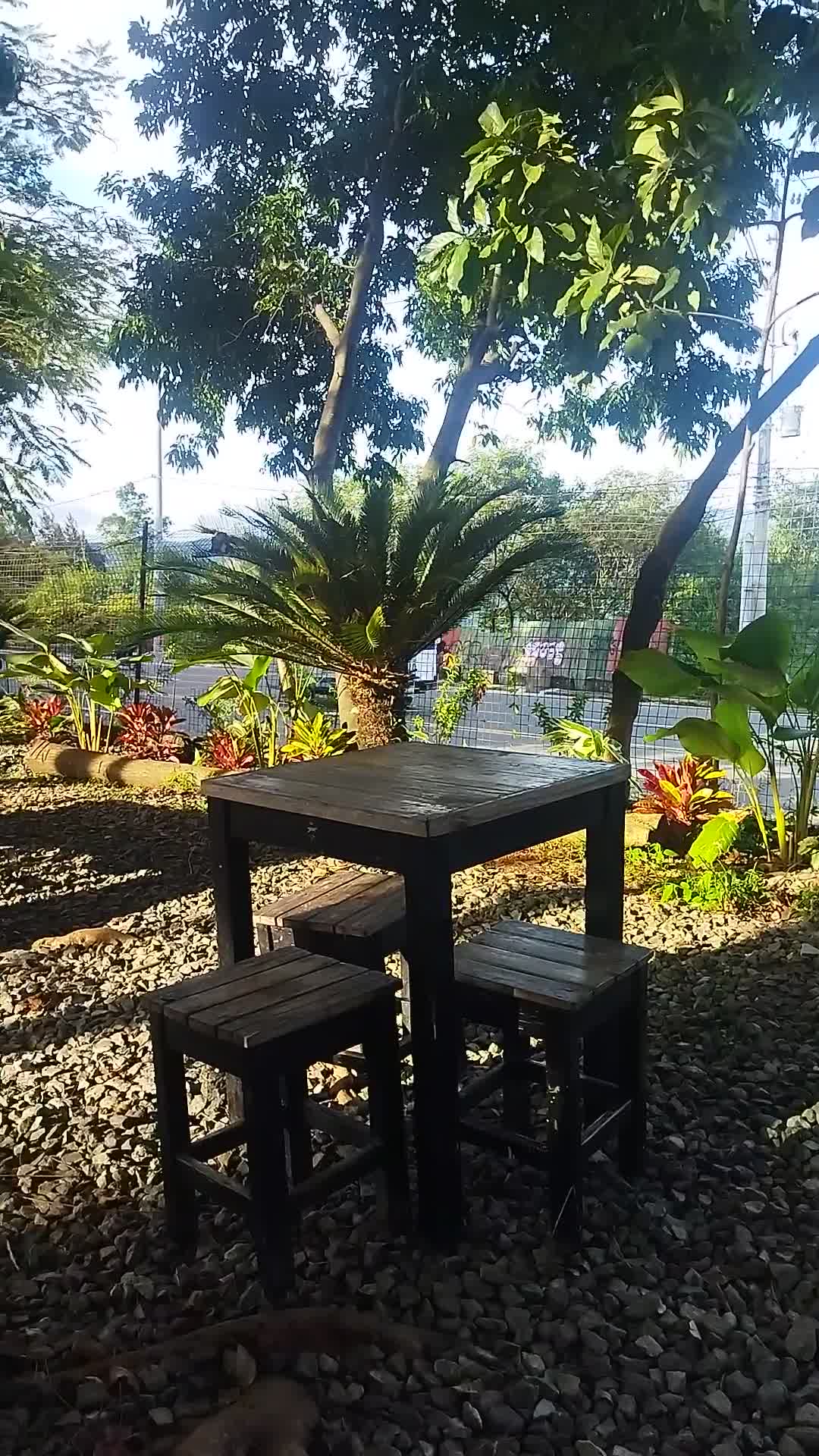 Cafe Una