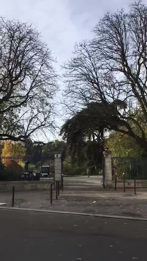 Parc Rives de Seine