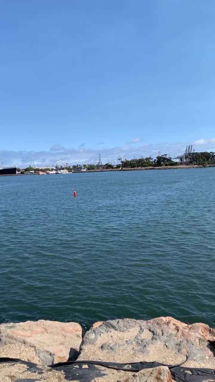 The Lions Lighthouse for Sight