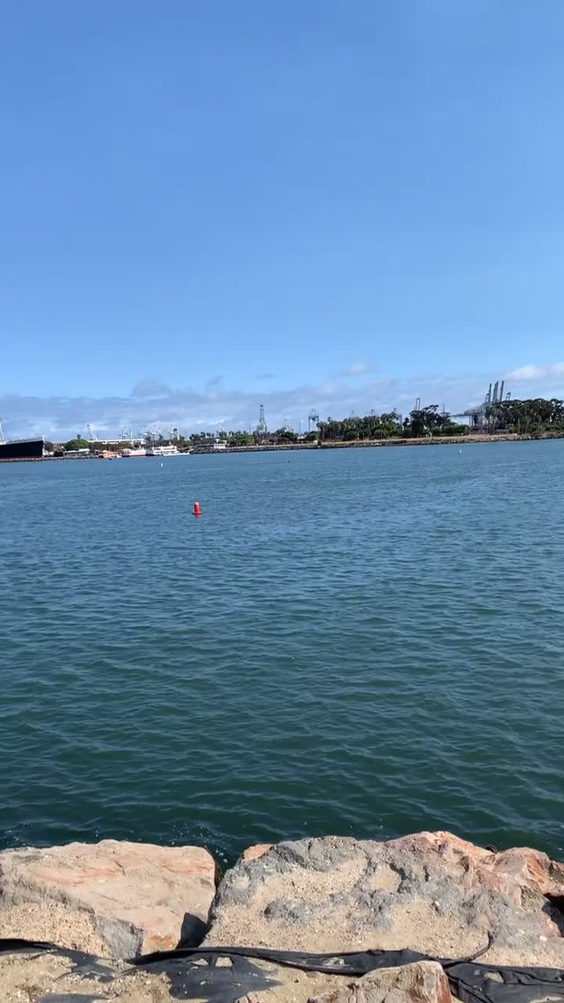 The Lions Lighthouse for Sight