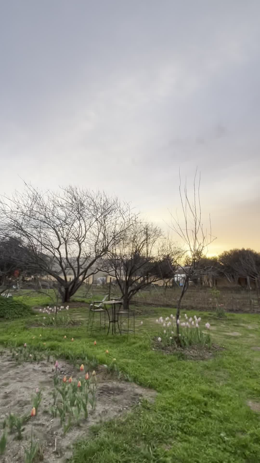 Video review of Earthbound Farm Organic Cafe