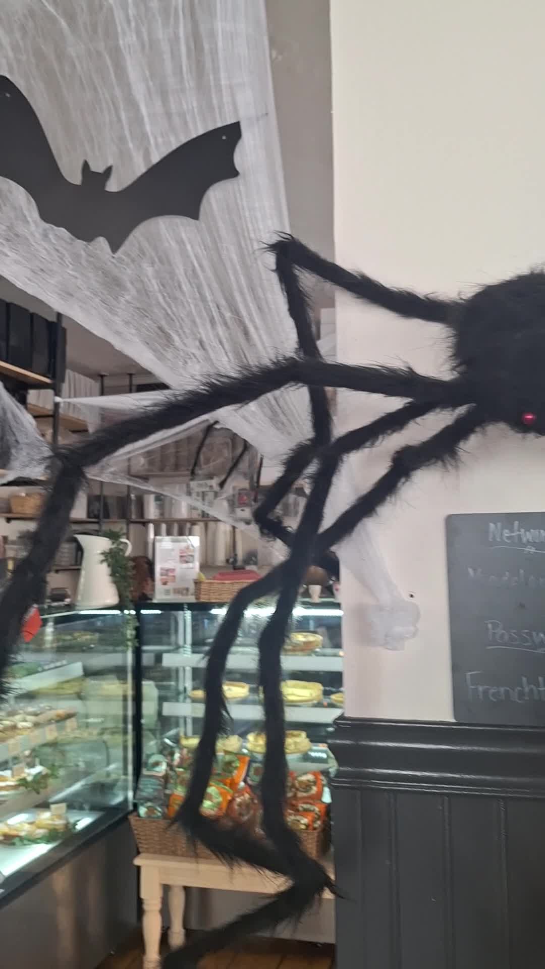 Video review of Cafe Madelaine