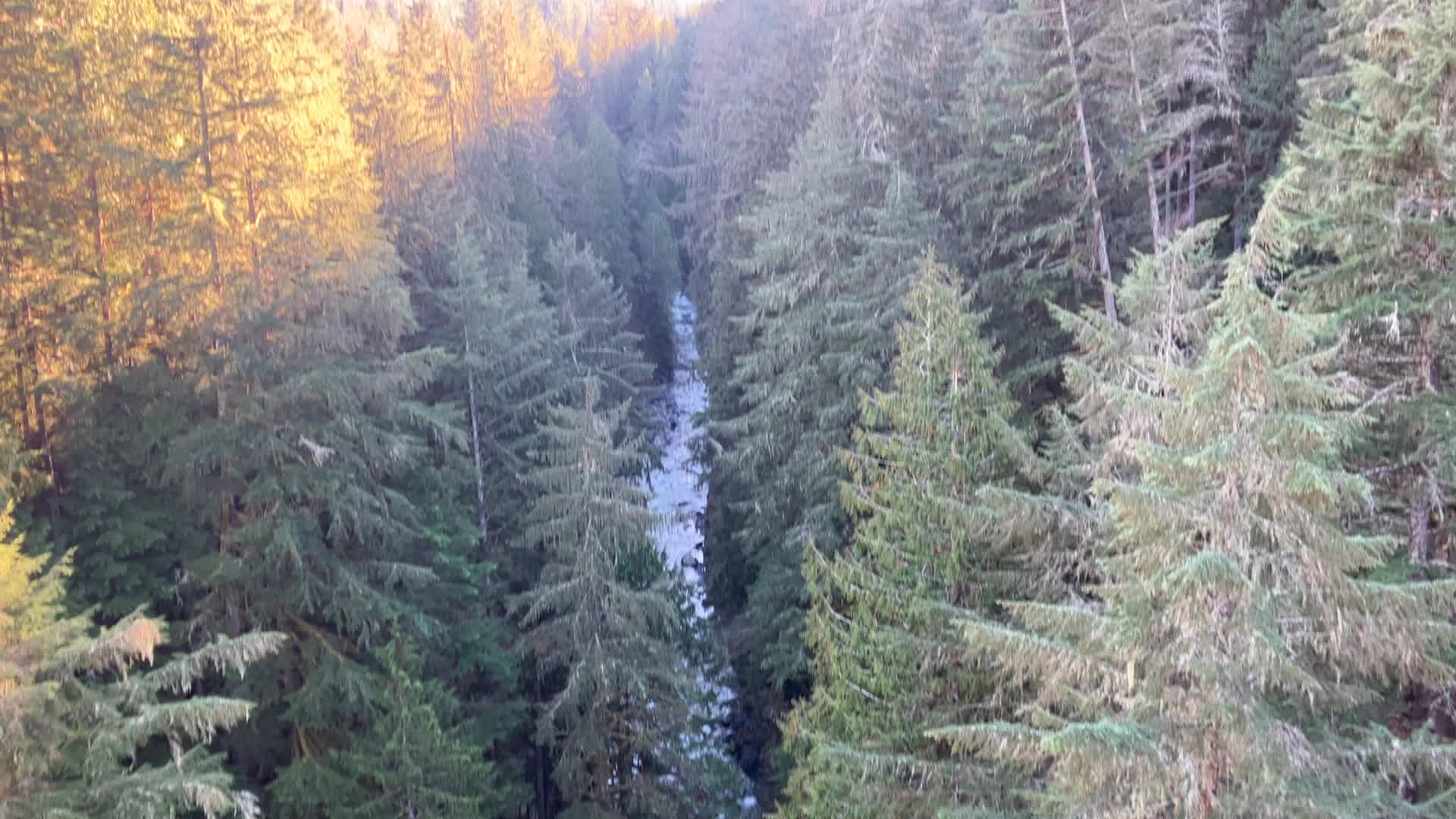 Mount Rainier National Park
