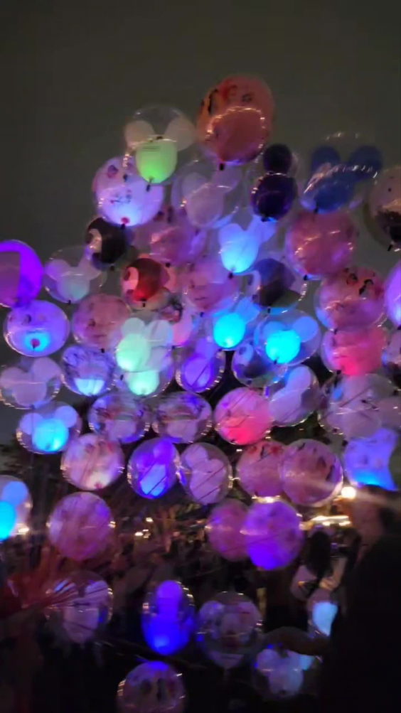 Disneyland Resort