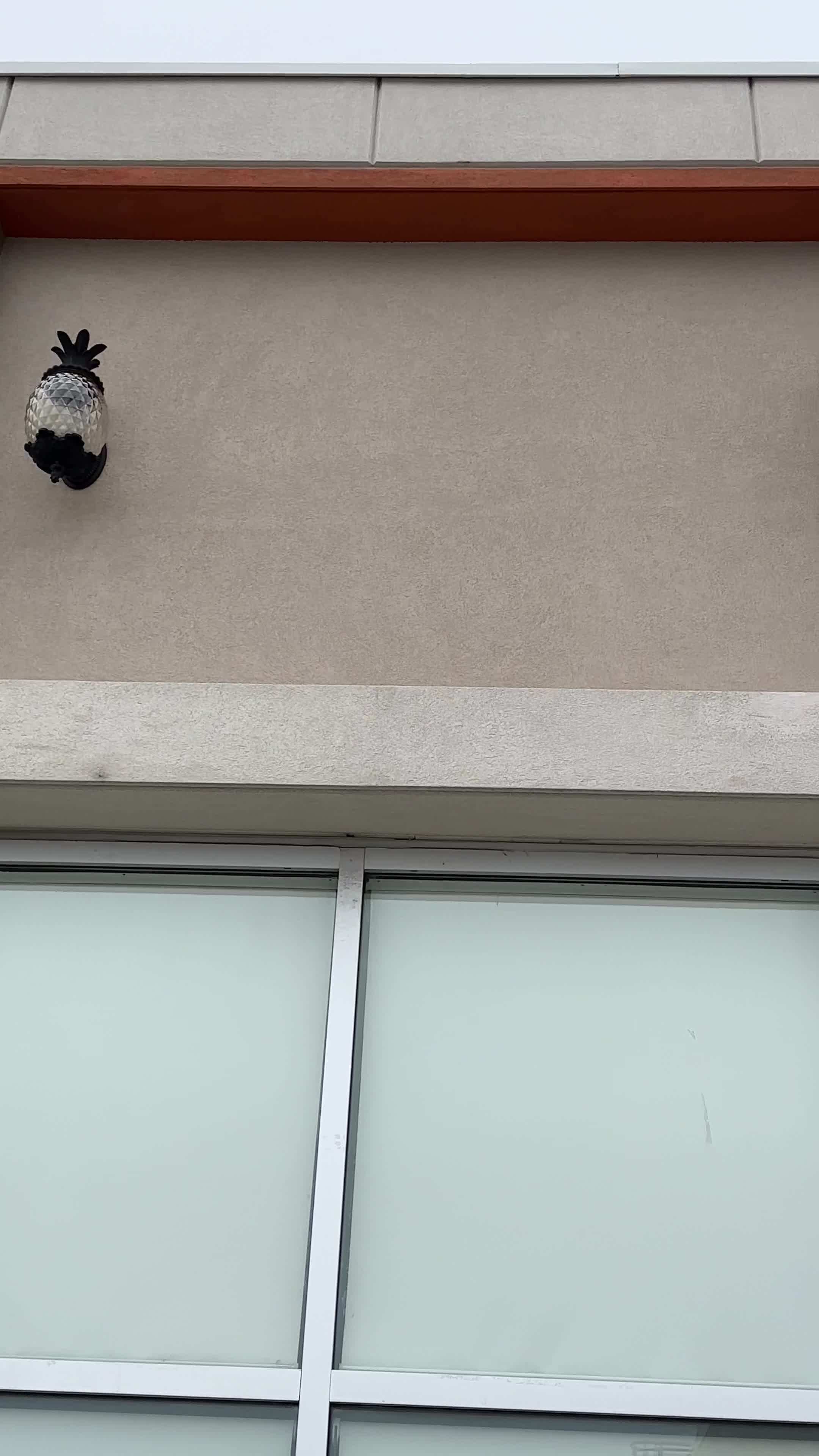 Video review of Dayali Beijing Roast Duck 大鴨梨