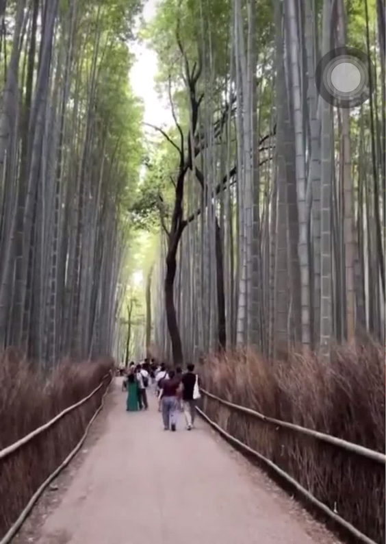 嵐山公園