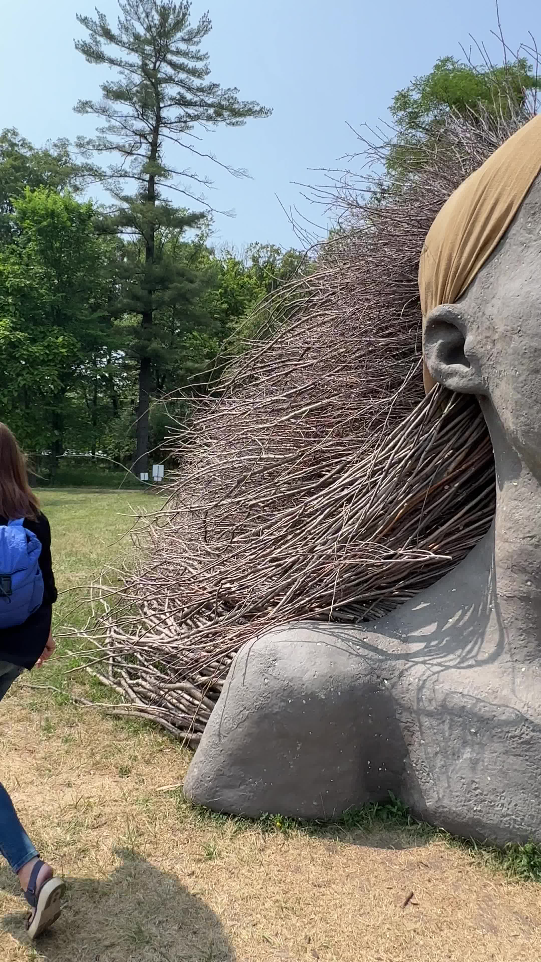 The Morton Arboretum