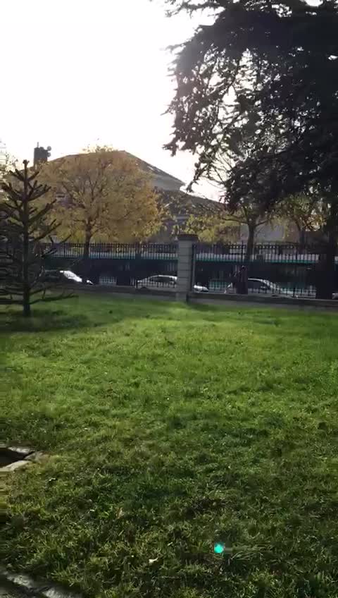 Parc Rives de Seine