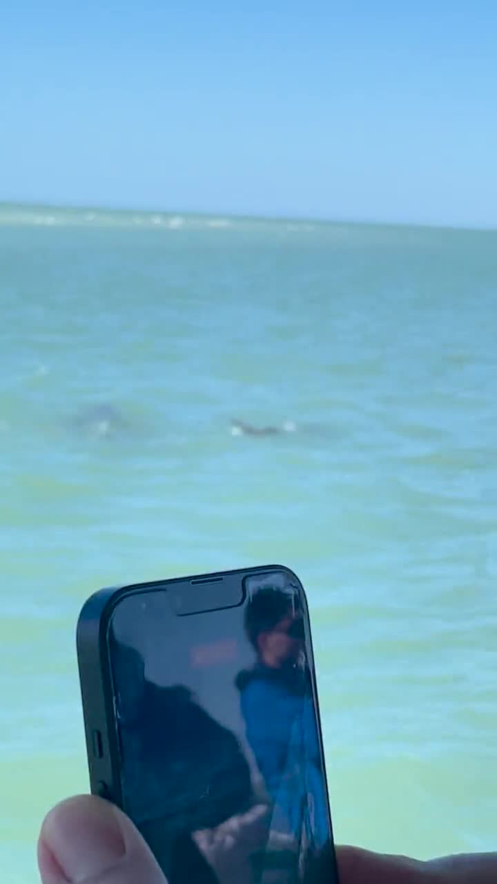 City Moment · Marguesas Rock