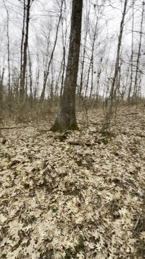 Sharon Woods Park
