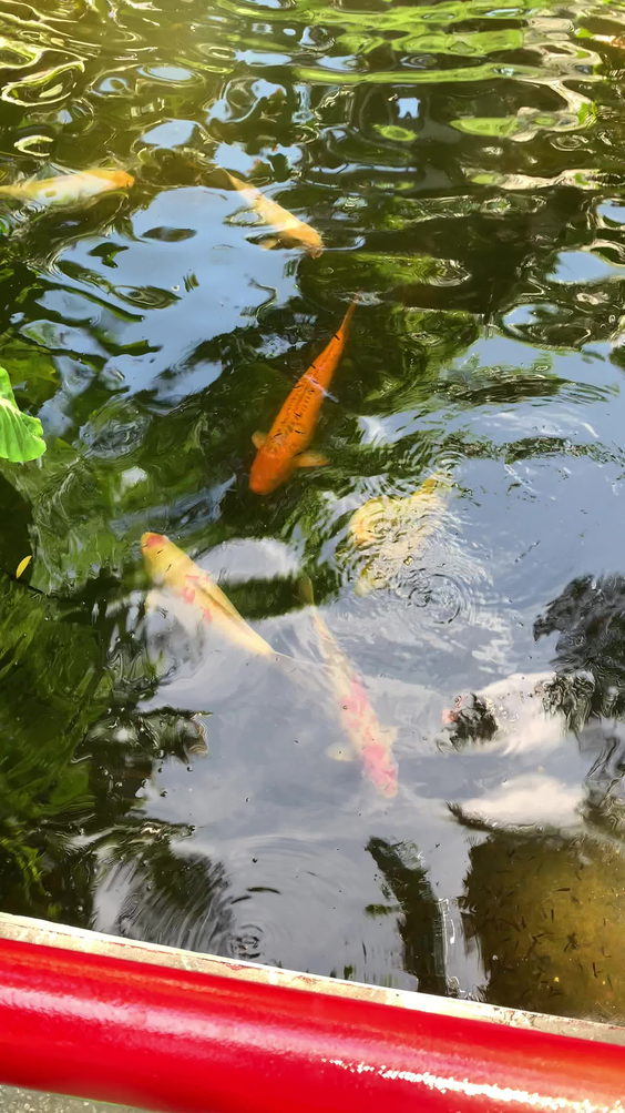 Sunken Gardens