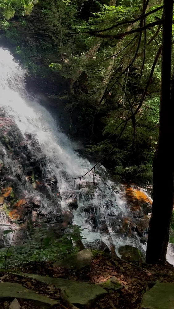 Ricketts Glen State Park