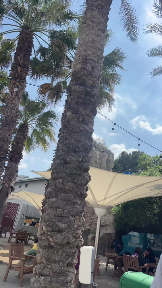 Los Angeles Zoo Park & Ride