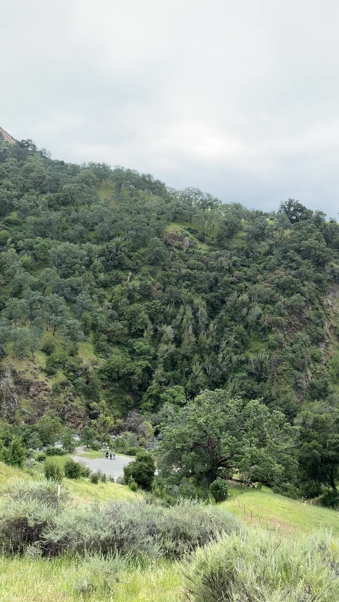 Sunol Regional Wilderness