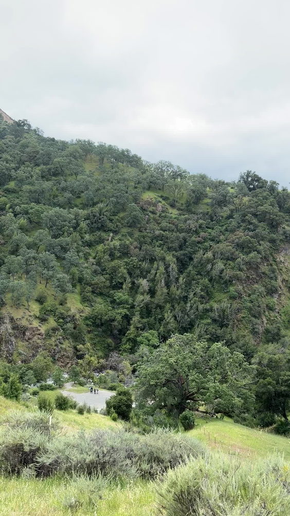 Sunol Regional Wilderness
