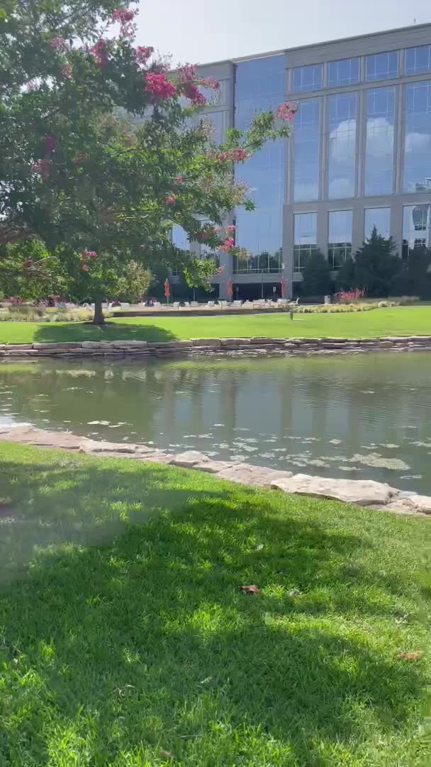 Texas Sculpture Garden