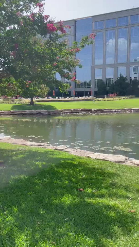 Texas Sculpture Garden