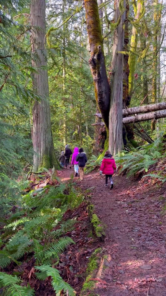 Redwood Park