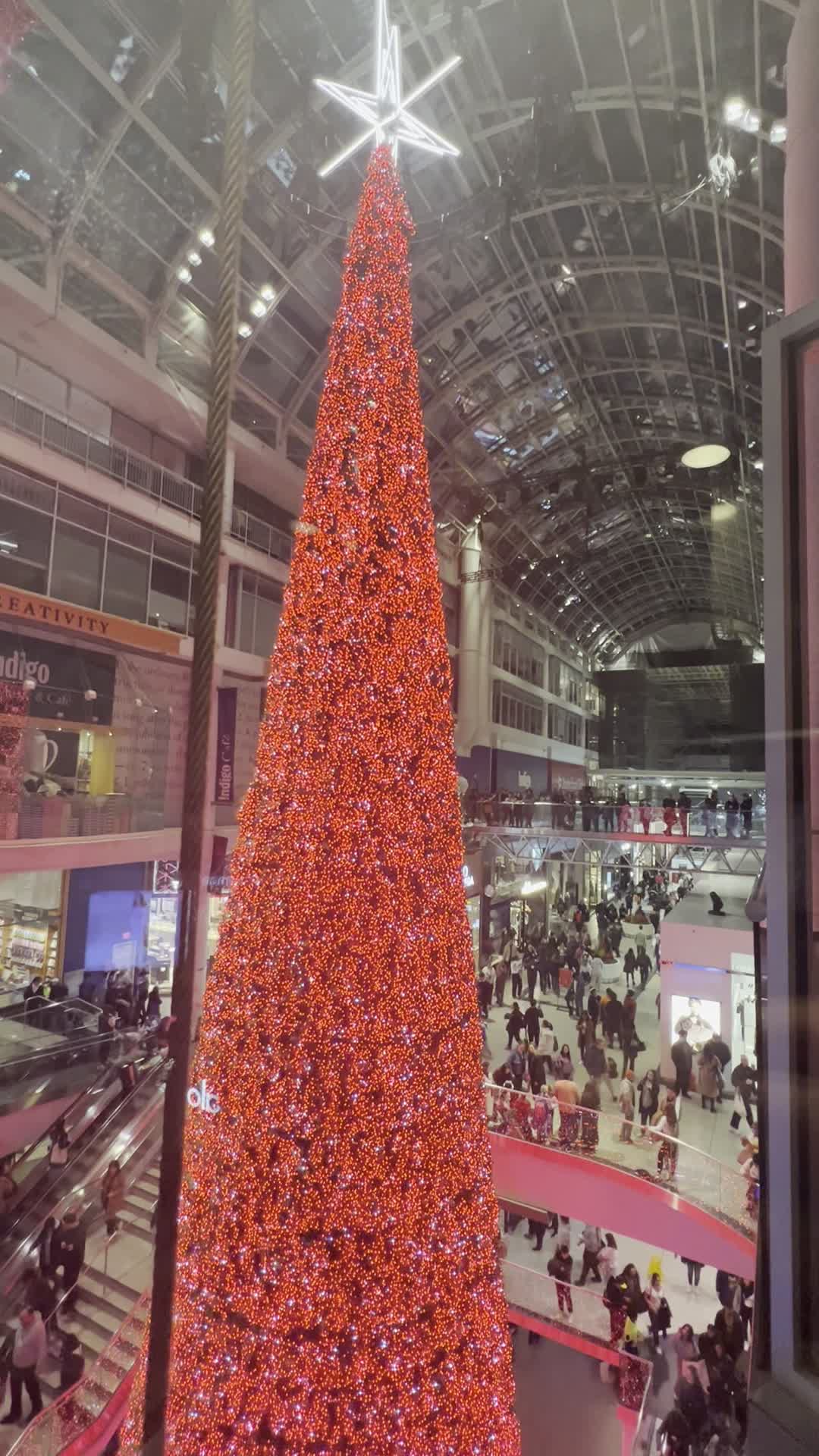 Video review of CF Toronto Eaton Centre