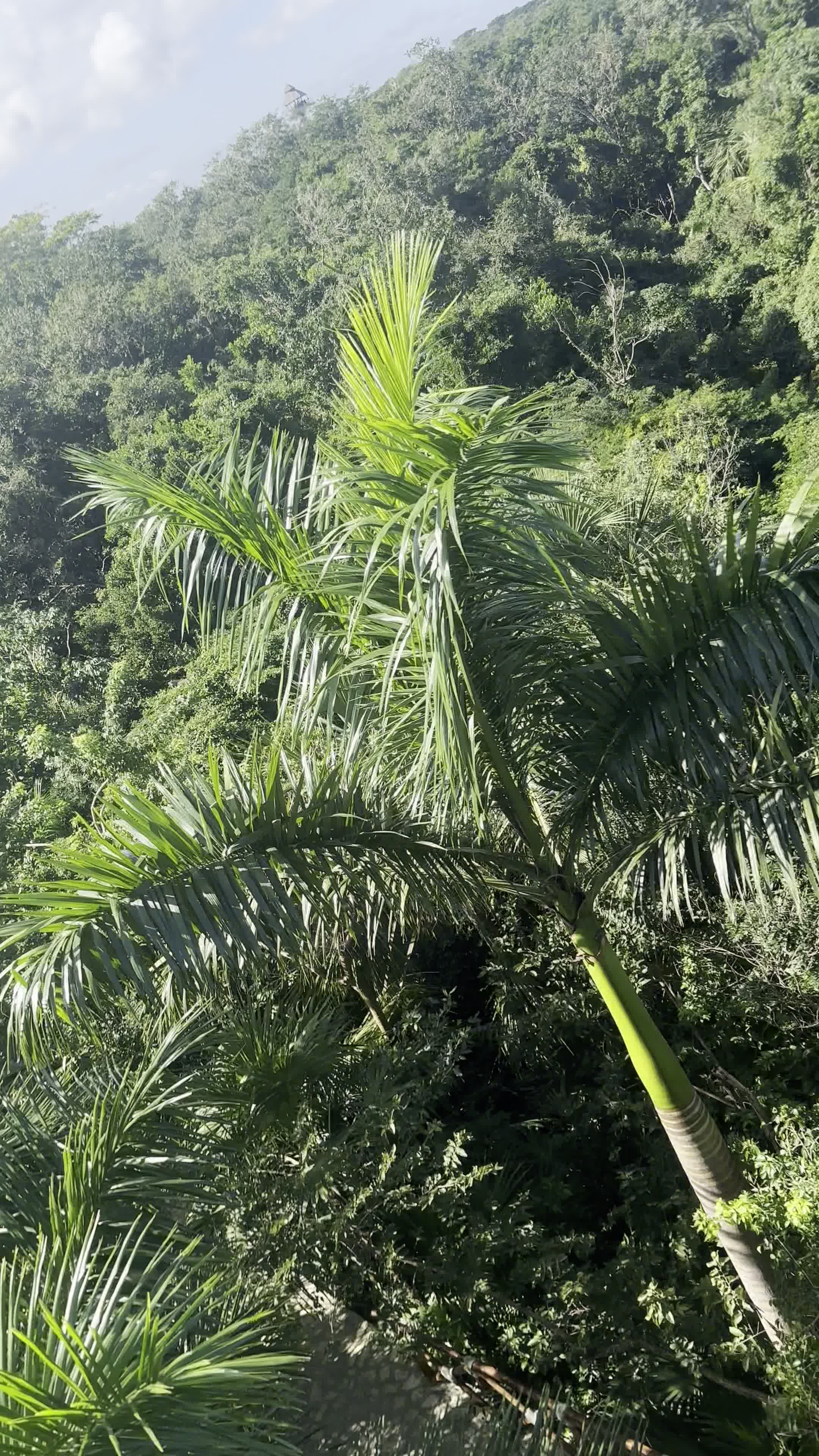 Hotel Fairmont Mayakoba