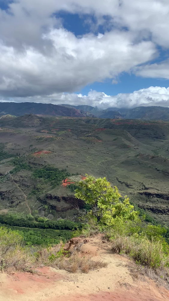 Waimea Canyon Lookout