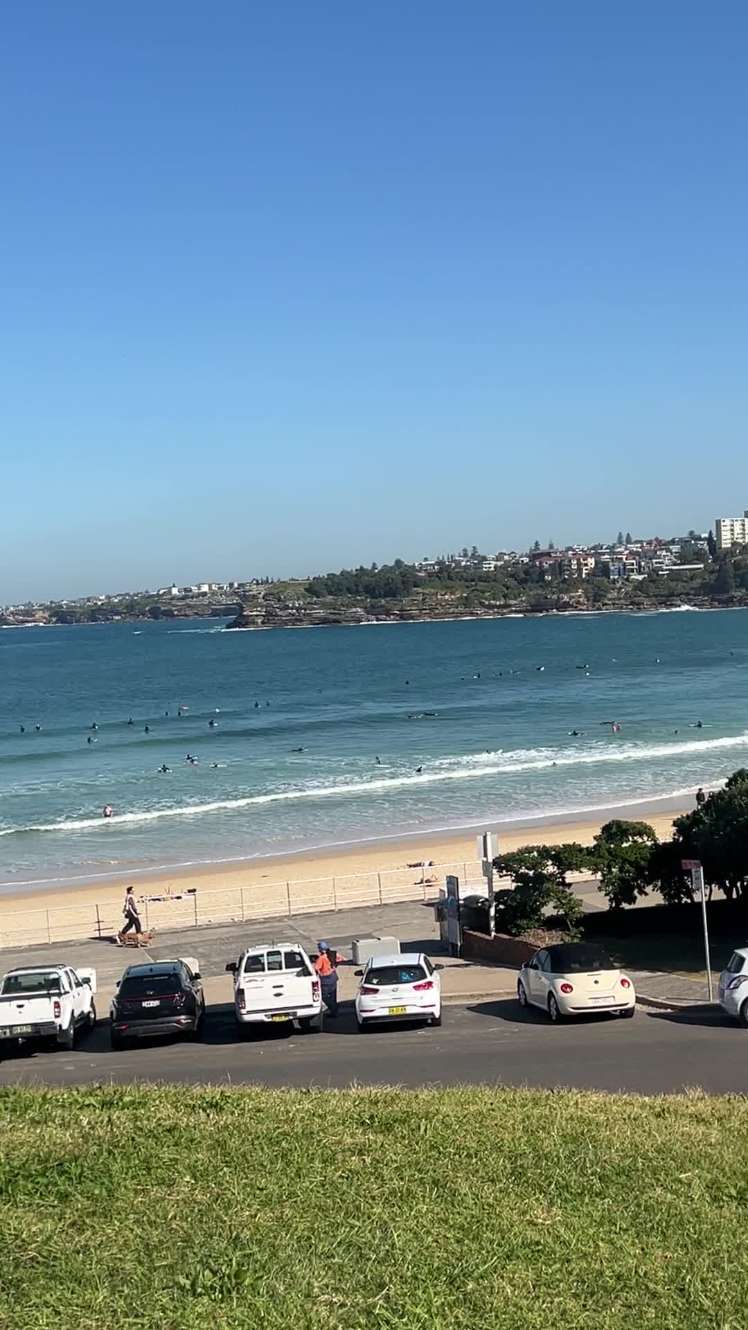 Bondi Beach