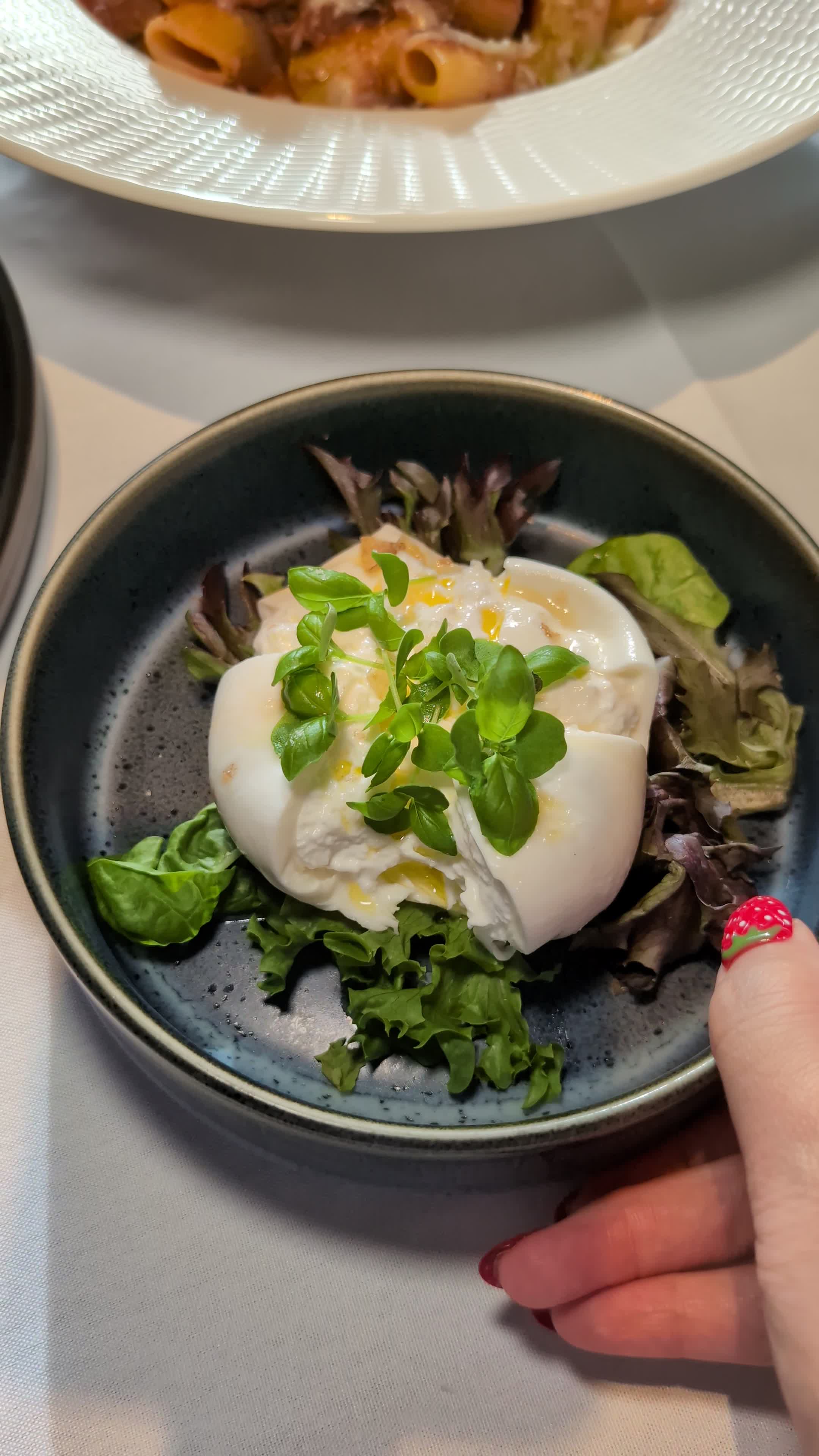 Video review of Italian Kitchen