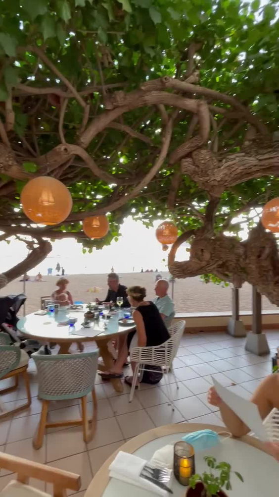 Hau Tree Lanai Restaurant