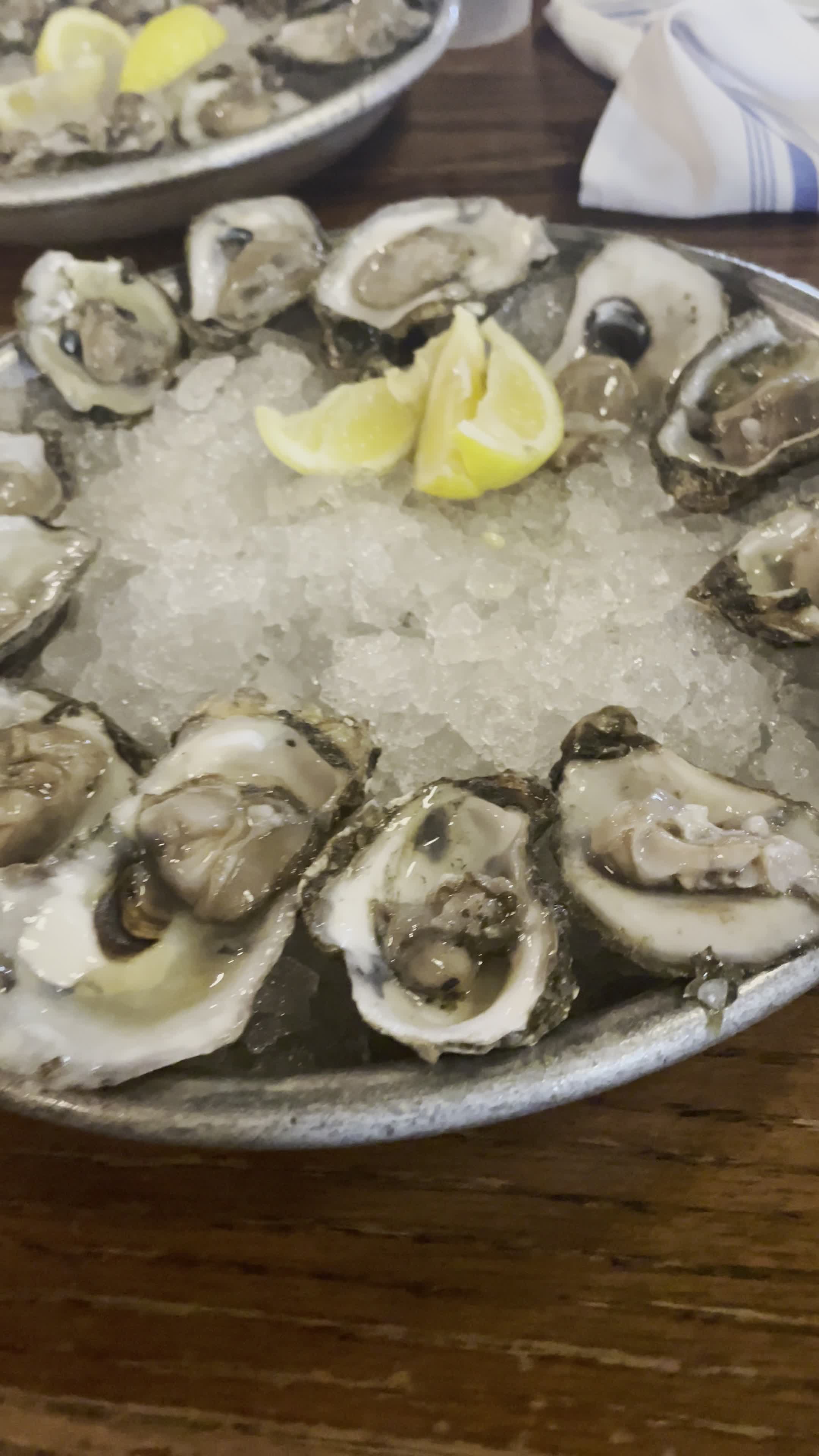 Video review of The Oyster Bar