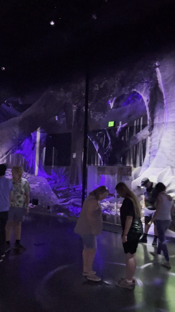 Meow Wolf Denver | Convergence Station