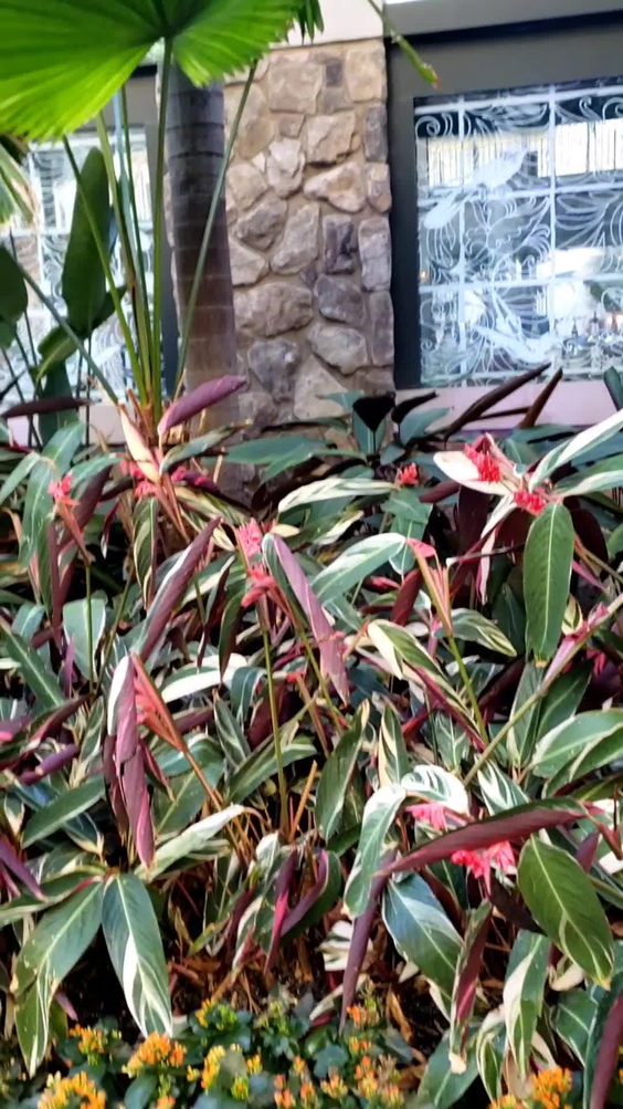 Gaylord Opryland Resort & Convention Center