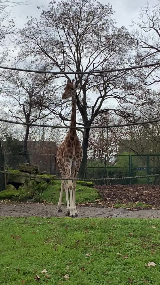 Zoo Hellabrunn München