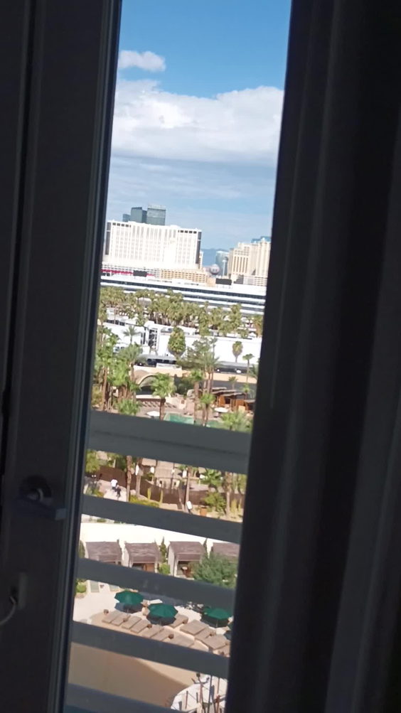 Mgm Grand Hotel & Casino