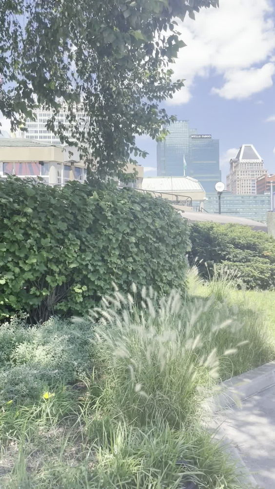 City Moment · Baltimore