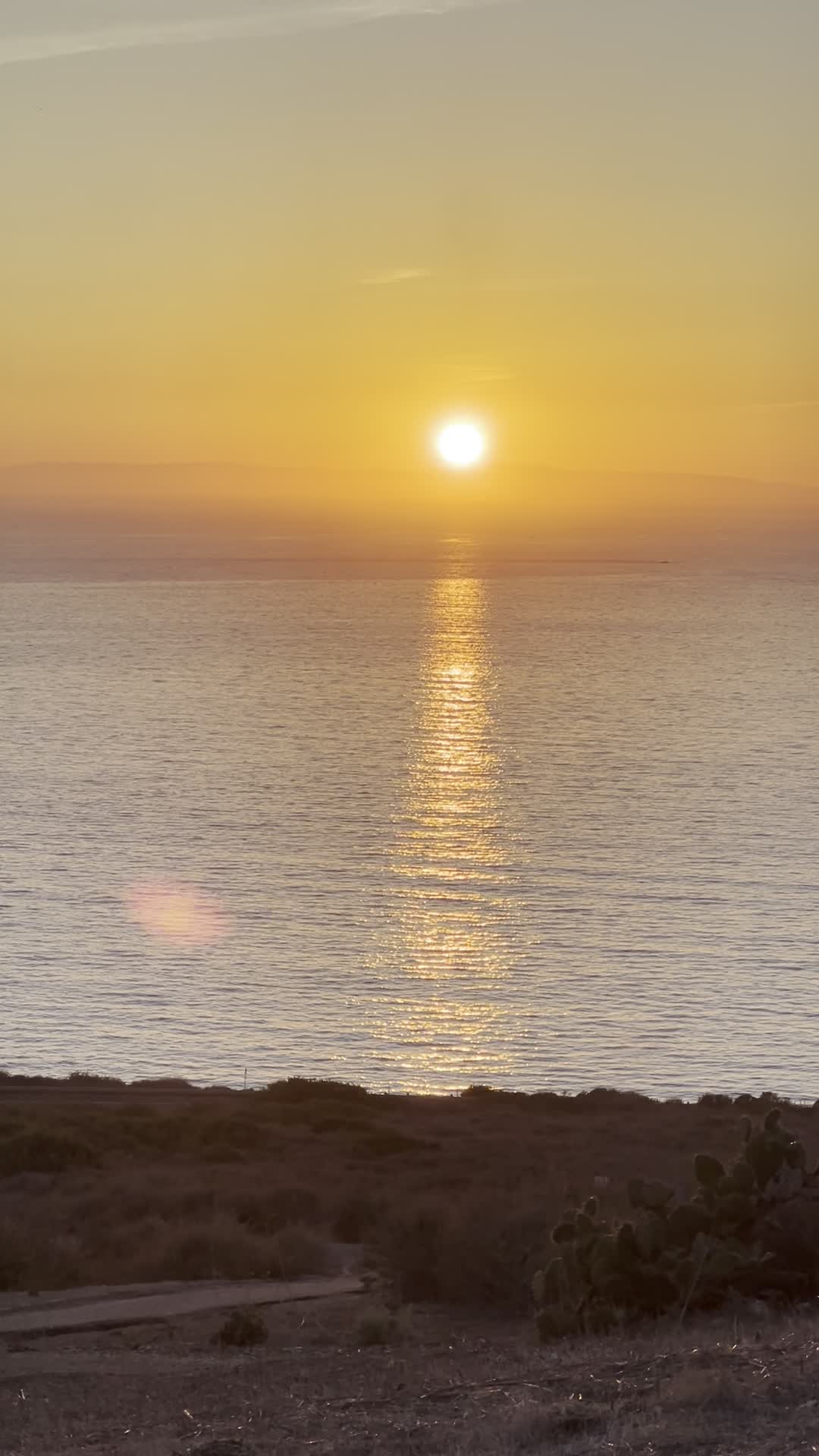 Video review of Crystal Cove State Beach