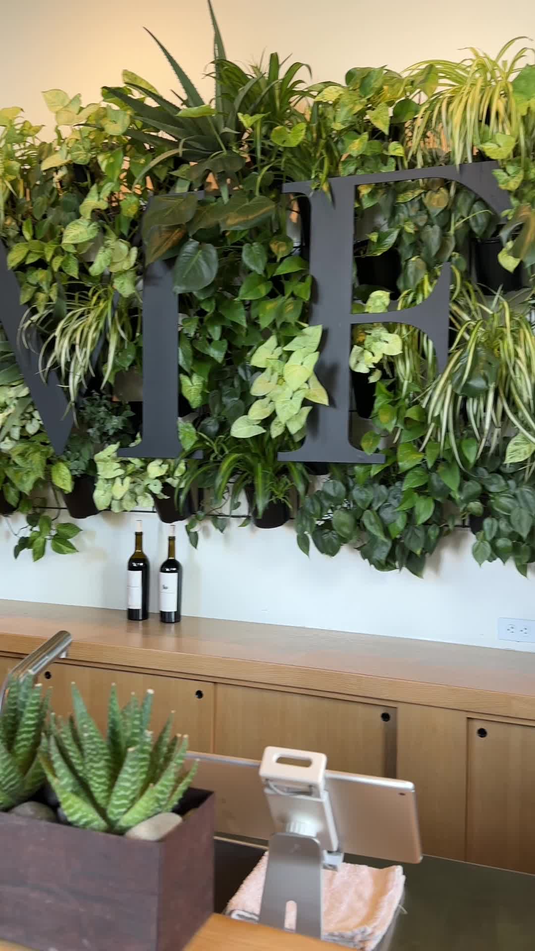 My Favorite Neighbor