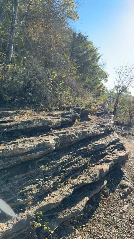 Ruffner Mountian
