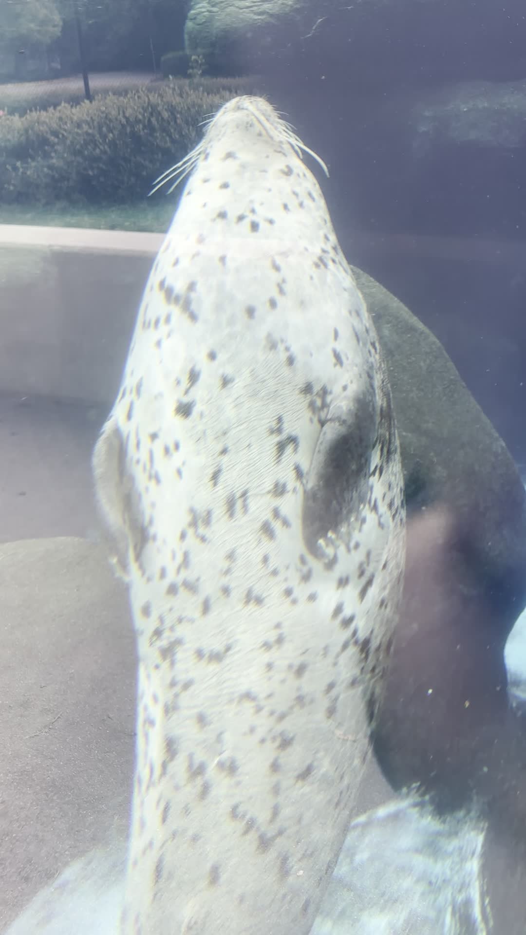 Video review of Virginia Aquarium & Marine Science Center
