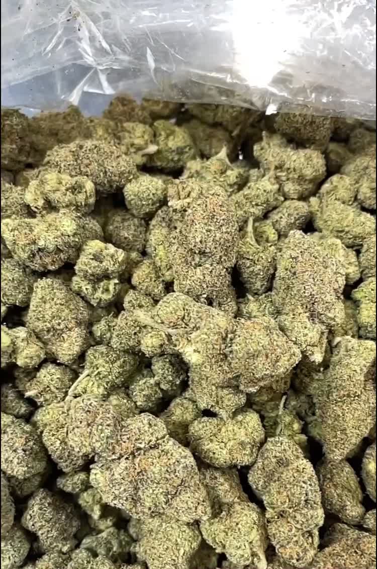 Video review of Casey Moore's Oyster House