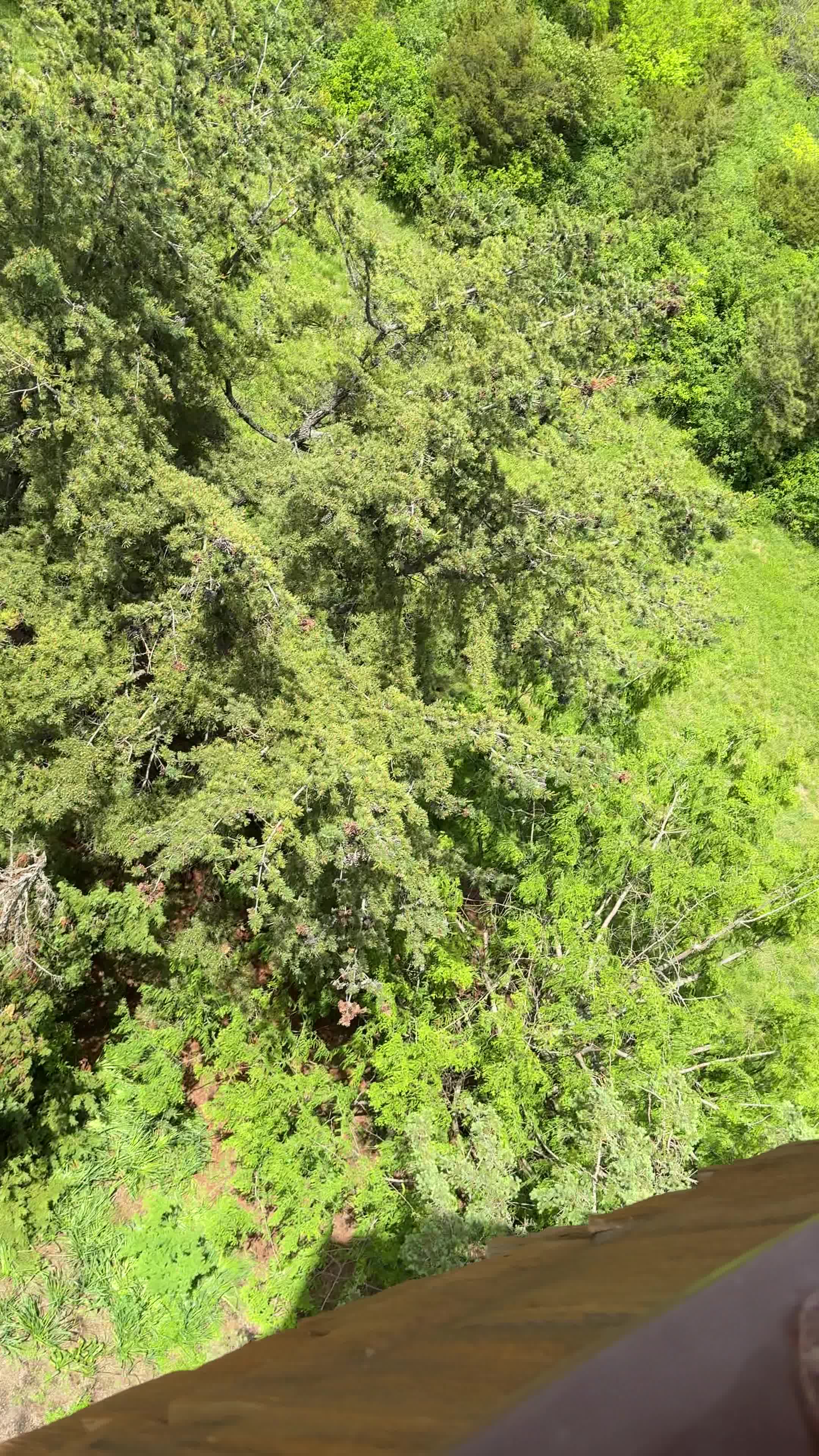 Nature Play At Cox Arboretum