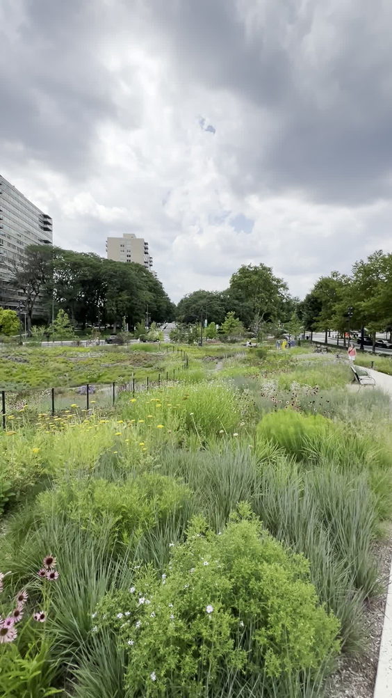 Calder Gardens