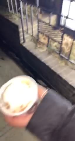 Video review of Sundaes and Cones