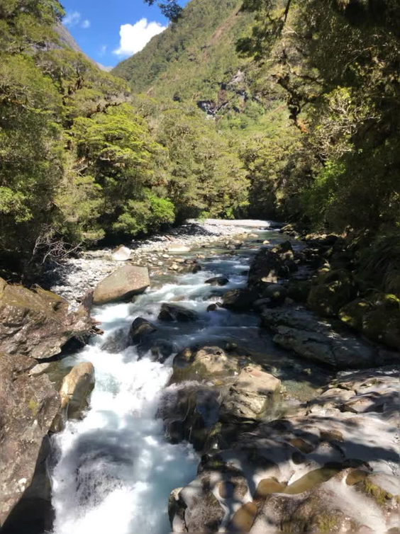 Hiking New Zealand