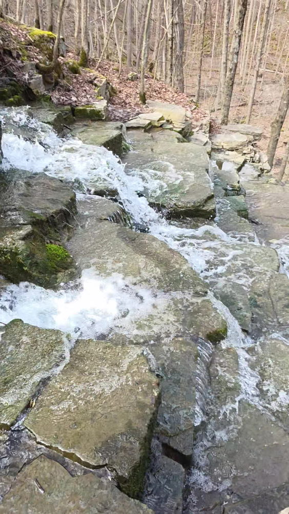 Three Falls Woods